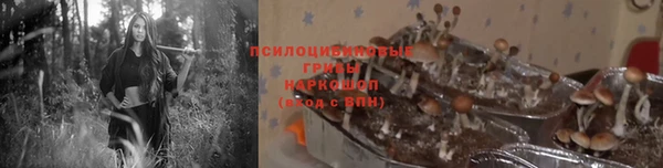гидропоника Мещовск
