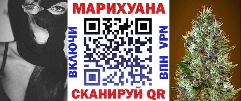 Канабис гибрид  Семёнов 